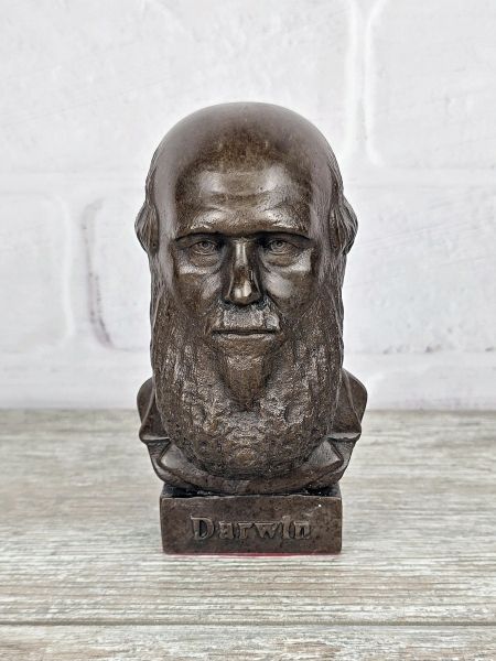 Бюст "Чарльз Дарвин" Бюст "Чарльз Дарвин"