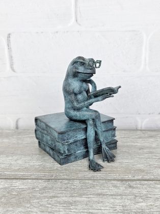 Лягушка читает книги Лягушка читает книги