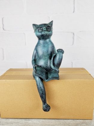 Читающий кот сидит (на полку)