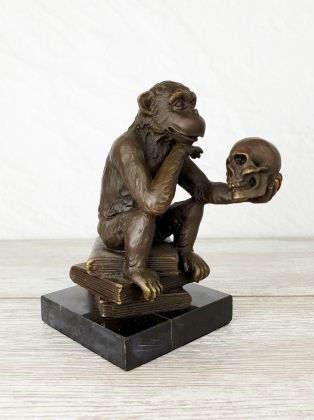 Обезьяна Дарвина