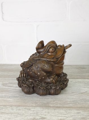Денежная жаба средняя (коричневая)